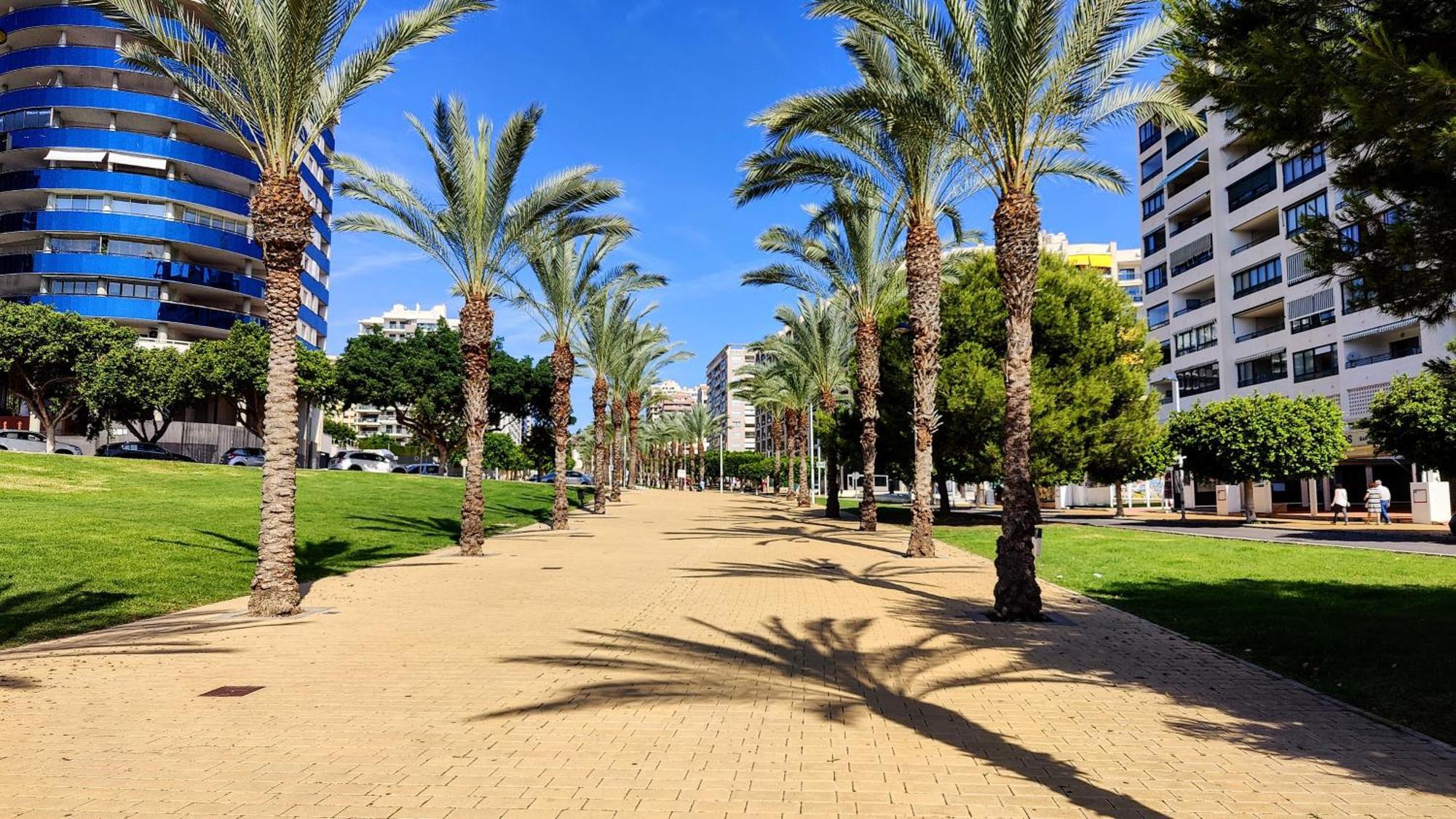 Cala Alta Design Apartment Benidorm Eksteriør bilde